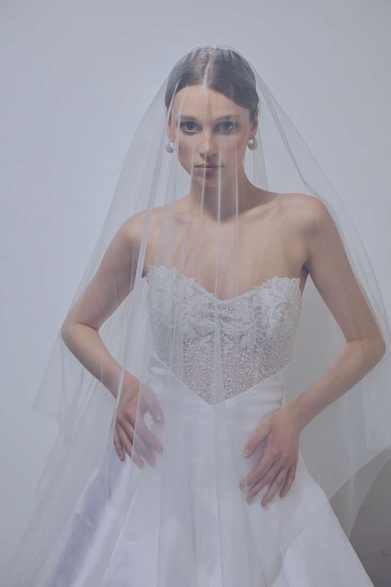 Kelly - image 4